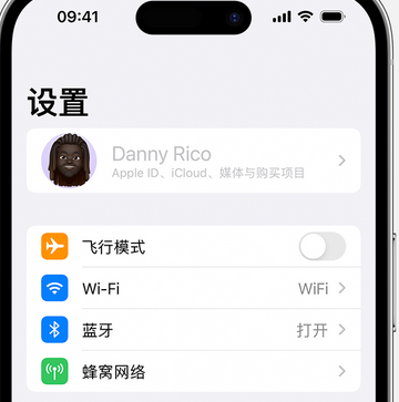 阳泉appleID维修服务iPhone设置中Apple ID显示为灰色无法使用 