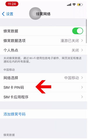 阳泉苹果14维修网分享如何给iPhone14的SIM卡设置密码 