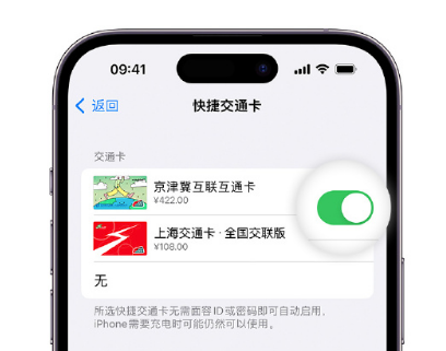 阳泉apple维修点分享iPhone上更换Apple Pay快捷交通卡手绘卡面 