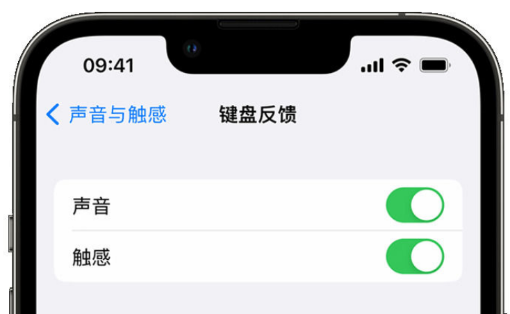 阳泉苹果手机维修分享iPhone 14触感键盘使用方法 