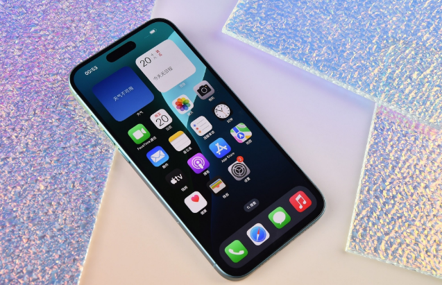 阳泉苹果手机维修分享为什么大家不喜欢苹果iPhone 16 Plus 