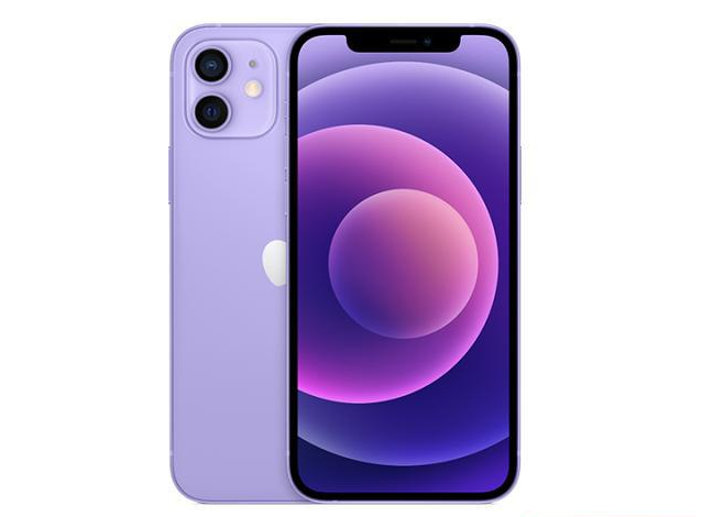 阳泉苹果手机维修分享现阶段要不要入手紫色版iPhone12 